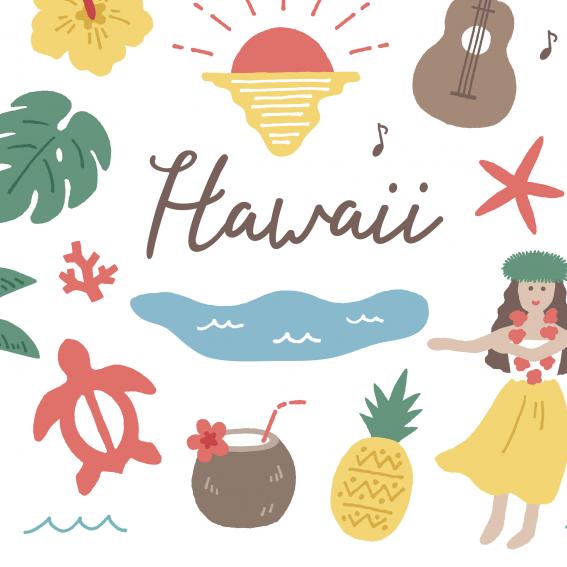 Illustrations of items relating to Hawaii i.e. coconut, surf board & hula girl