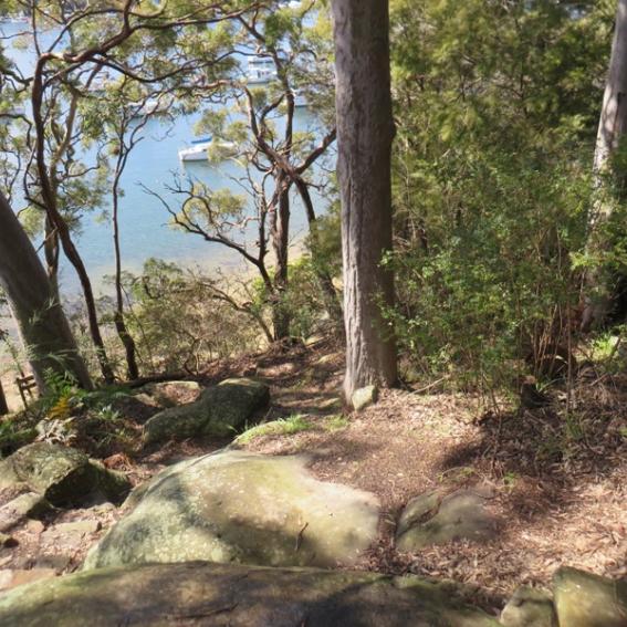 Mosman is renowned for its trees harbour views and bush walks