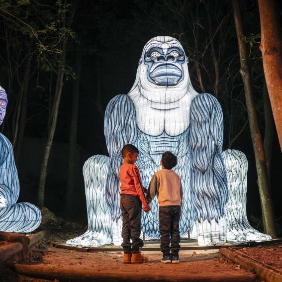 Taronga Zoo is back as a Vivid Sydney location for 2022. Photo credit: Destination NSW