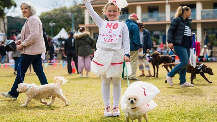 Pet’s Day Out