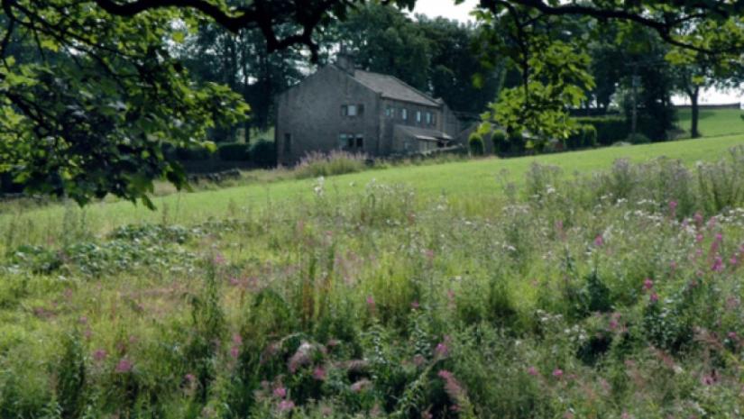Bronte landscape