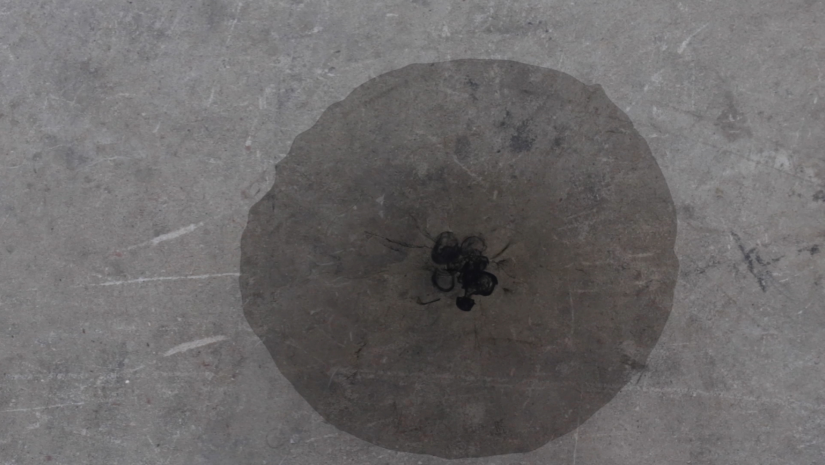 Emma Fielden, Coalescence (video still), 2019, HD video 9:10 minutes, sumi ink and water. Courtesy of the artist and Dominik Mersch Gallery Emma Fielden, Coalescence (video still), 2019, HD video 9:10 minutes, sumi ink and water. Courtesy of the artist and Dominik Mersch Gallery