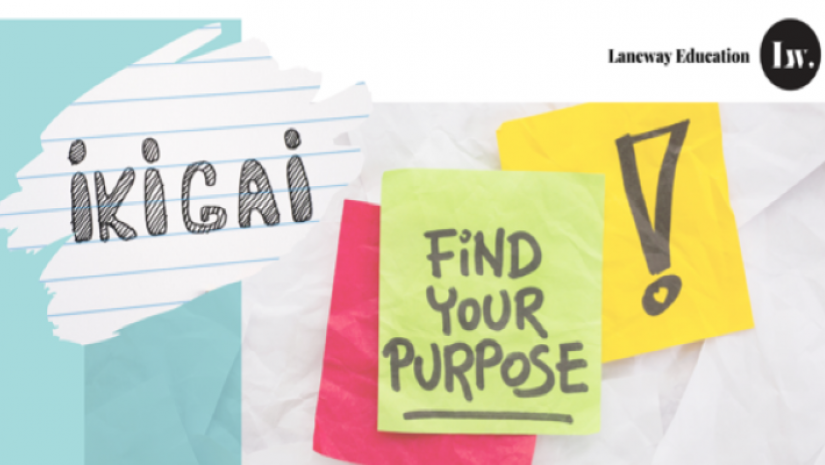 Post it notes written find your purpose