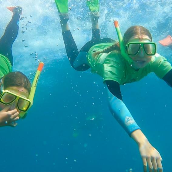 snorkelling at Chowder Bay