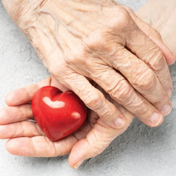 A pair of hands holding a love heart