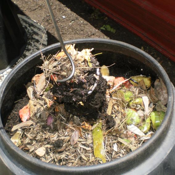 Composting and Worms