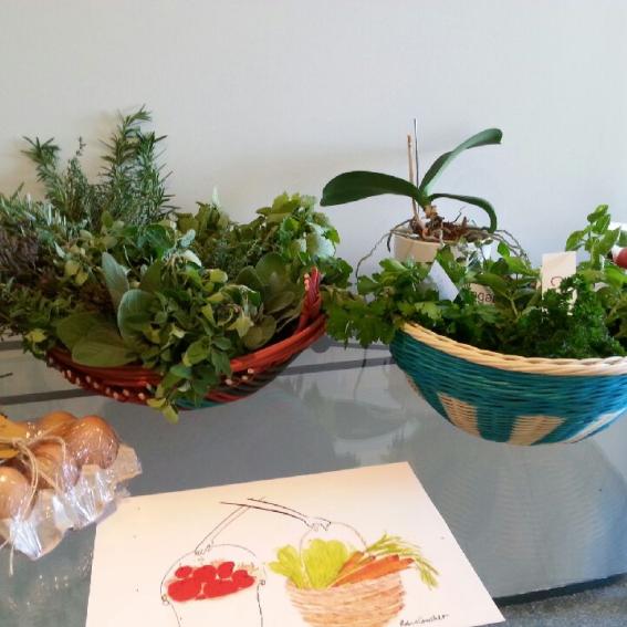 Herbs