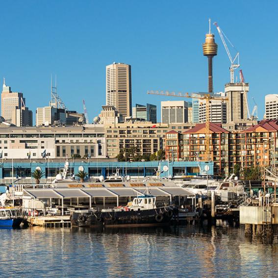 Location shot of Sydney Fish Markets at Prymont