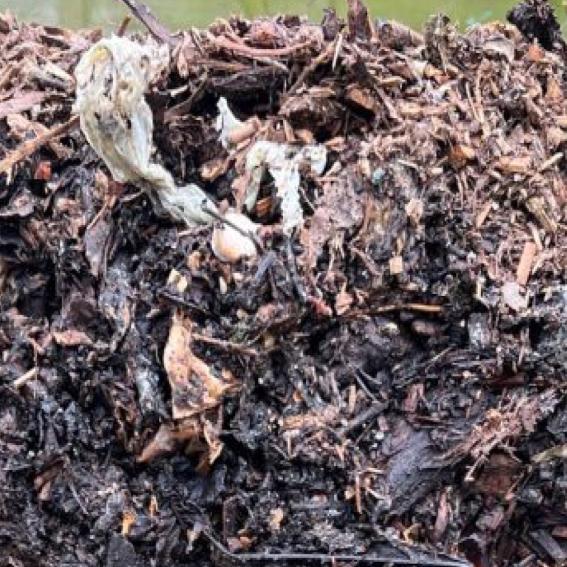Advanced Composting