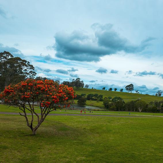 Mt Annan Botanic