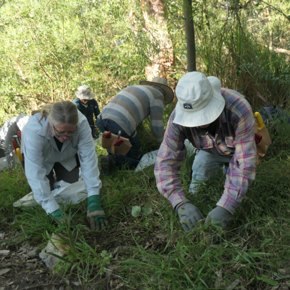 Mosman Parks & Bushland
