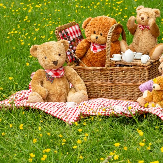 Teddys outside sitting on a picnic rug.