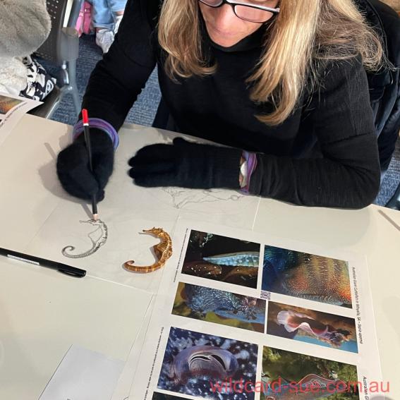 Reignite your creative spark, be inspired by marine life and learn to draw