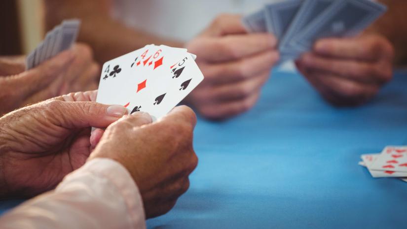 bridge players
