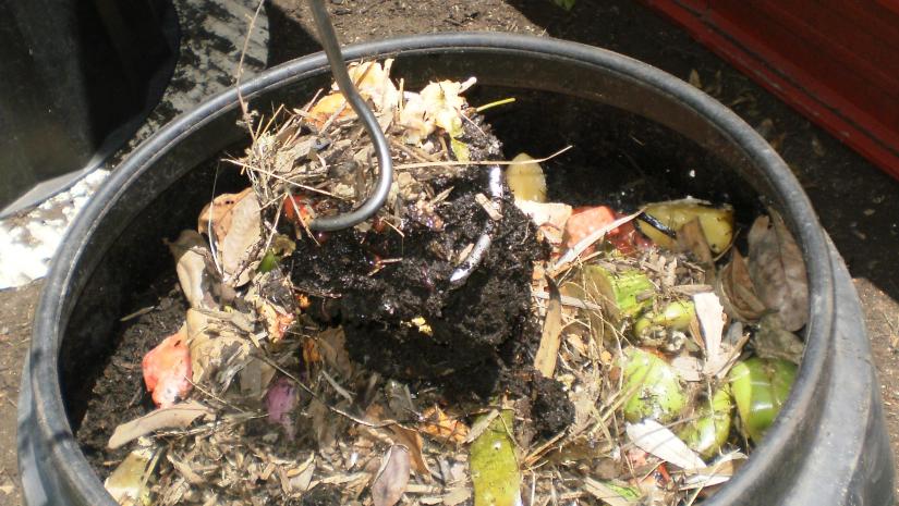 Composting and Worms Composting and Worms