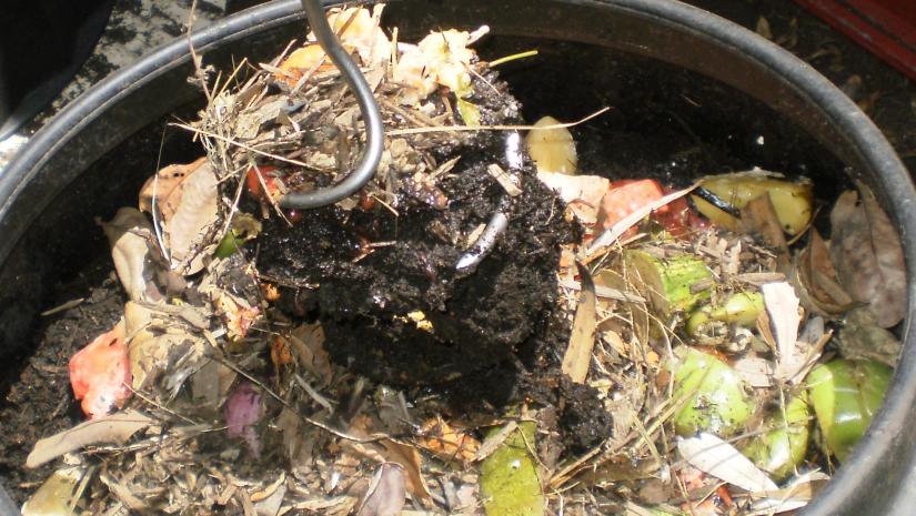 Kimbriki Composting & Worms