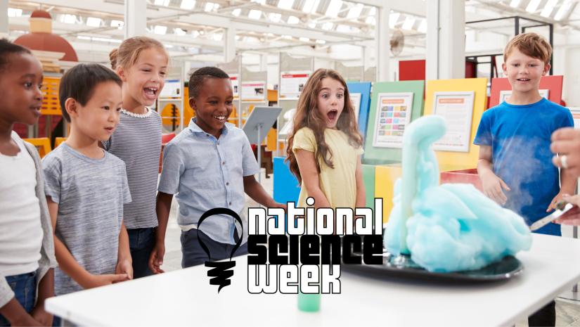 Children watching a science experiment.
