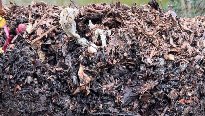 Advanced Composting at Kimbriki Advanced Composting