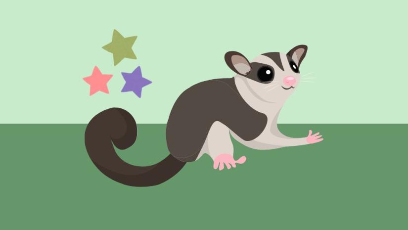 Cartoon possum with stars.