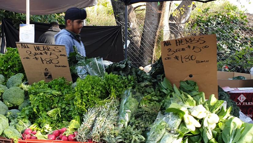 Mosman Farmers Market Stall Fruit & veg stall