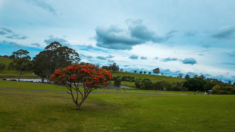 Mt Annan Botanic Mt Annan Botanic