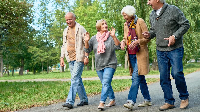 A group going on a walk