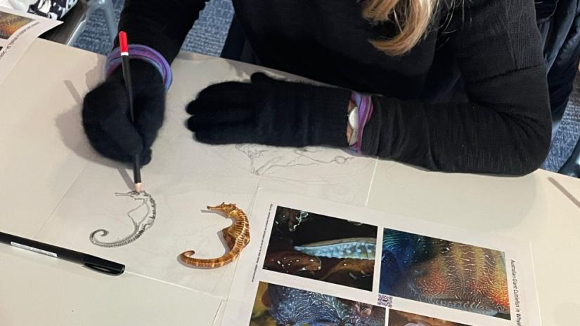Adults only classes are for people searching for creative inspiration Reignite your creative spark, be inspired by marine life and learn to draw